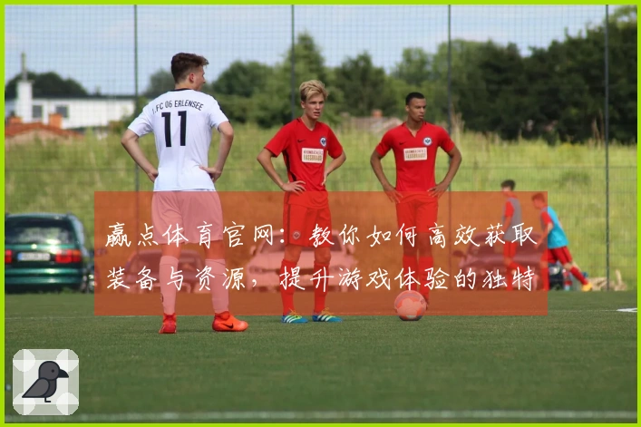 赢点体育官网：教你如何高效获取装备与资源，提升游戏体验的独特技巧